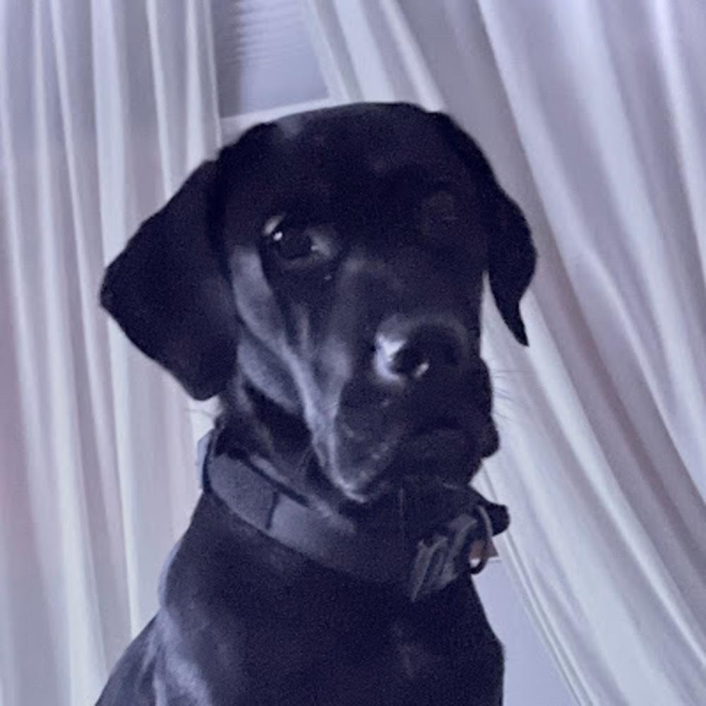 Meet your Posher, Grissel